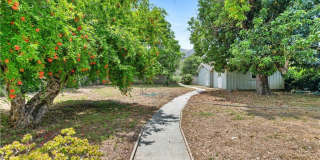 2952 Mill Creek Road Gallery 29