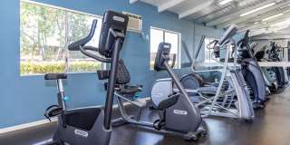 R.C. Briarwood Apartment Homes Gallery 4