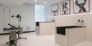 Muze At Met Gallery 28