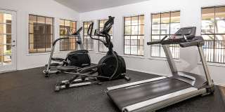 Stoneleigh Apartments Gallery 9
