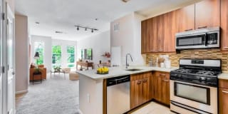 The Stories Gallery 1