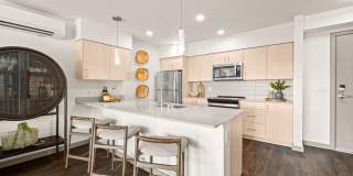 110 Roy Gallery 16