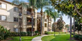 Carmel Gallery 23