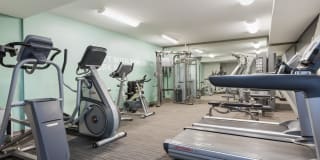 Whispering Hills Gallery 7