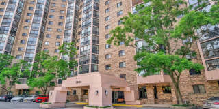 5904 MOUNT EAGLE DR #1609 Gallery 17