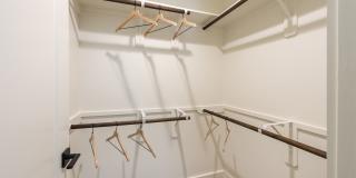 Eden at Sunterra Gallery 14