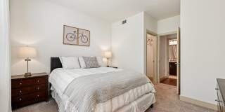 Andante at Nine Mile Station Gallery 30