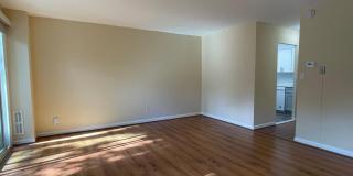 817 DELAWARE AVE SW #227 Gallery 6