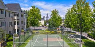 Rock Springs Gallery 17