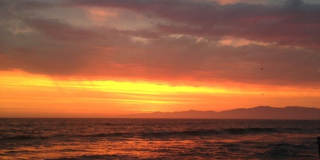 416 Virginia St 416 Virginia St Gallery 12