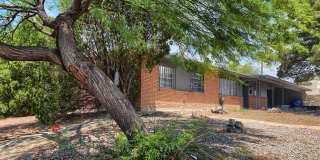 2927 HARRISON Avenue Gallery 5