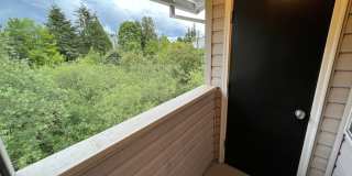 College Park Apartments Gallery 39