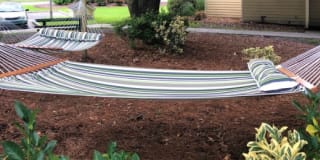 Village Green Gallery 37