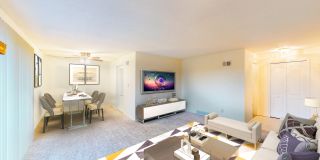 Craigmont Gallery 14