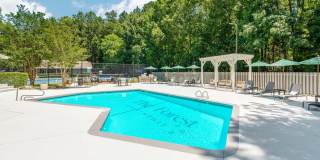 The Forest Gallery 12