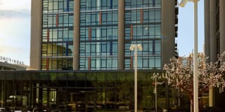 Park + Ford Apartments Gallery 68