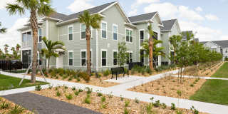 Palm Grove Gallery 41