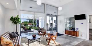 The Continental Gallery 25