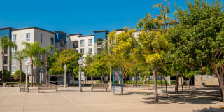 City Pointe Gallery 9