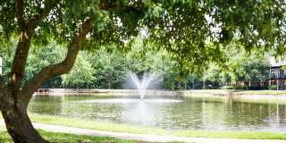 Windsor Lake Gallery 31