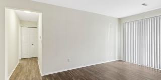 Millennium at Creve Coeur Gallery 27