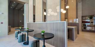 Encore Echo Gallery 15