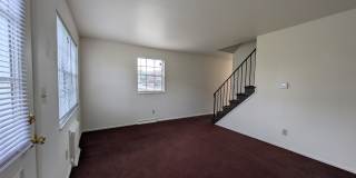 1181 D Kelburn Road Gallery 12
