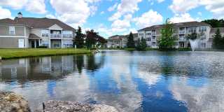 The Farms Gallery 29