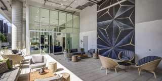 Fusion Hollywood Gallery 34