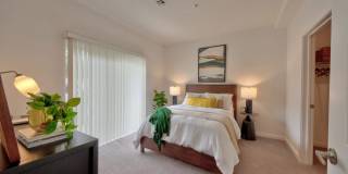 Terrain on the Parkway Gallery 4