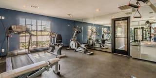 The Hills of Palos Verdes Gallery 17