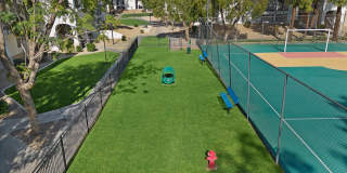 Solas Glendale Gallery 18