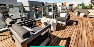 Capitol Towers – Luxury Midrise Gallery 23