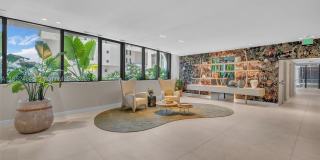 Island Bay Gallery 10