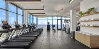 Skye on 6th Gallery 45