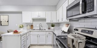 Elliot Roswell Gallery 6