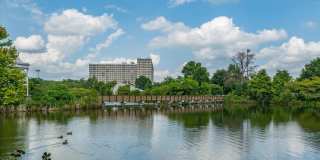 5112 KNAPP Place Gallery 35