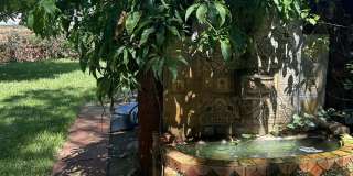 431 S M Street Gallery 34