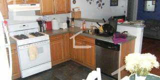 4 bed near green line Allston Gallery 14