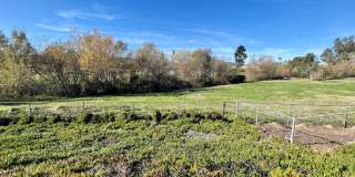 Single Level with Nature Reserve Views! Single Level with Nature Reserve Views! Gallery 26