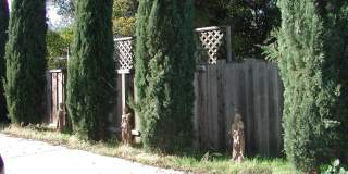 2295 Homestead Road Gallery 1