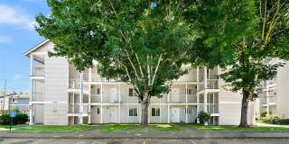 Charming 2BR Condo in Bellingham Charming 2BR Condo in Bellingham Gallery 1