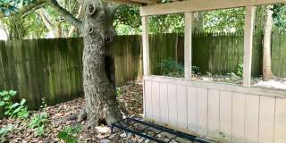 3br/2ba cottage by LSU with all new appl, 2nd house from River Road Gallery 21