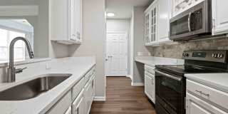 Lake Clearwater Gallery 55