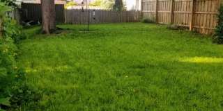 Downtown pet-friendly 3bd w Fenced Yard, Laundry, Screened Porch, Dishwasher, and nearby weekly farmer's market Gallery 27