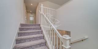 Twelve Bridges 4-Bedroom, 2-Bath Home Gallery 16