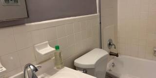 1825 N 17th Court Gallery 6