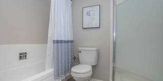Bellevue Towers Gallery 40