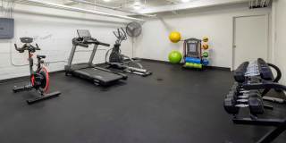 The Profile Gallery 5