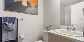 Amazon Falls Gallery 27